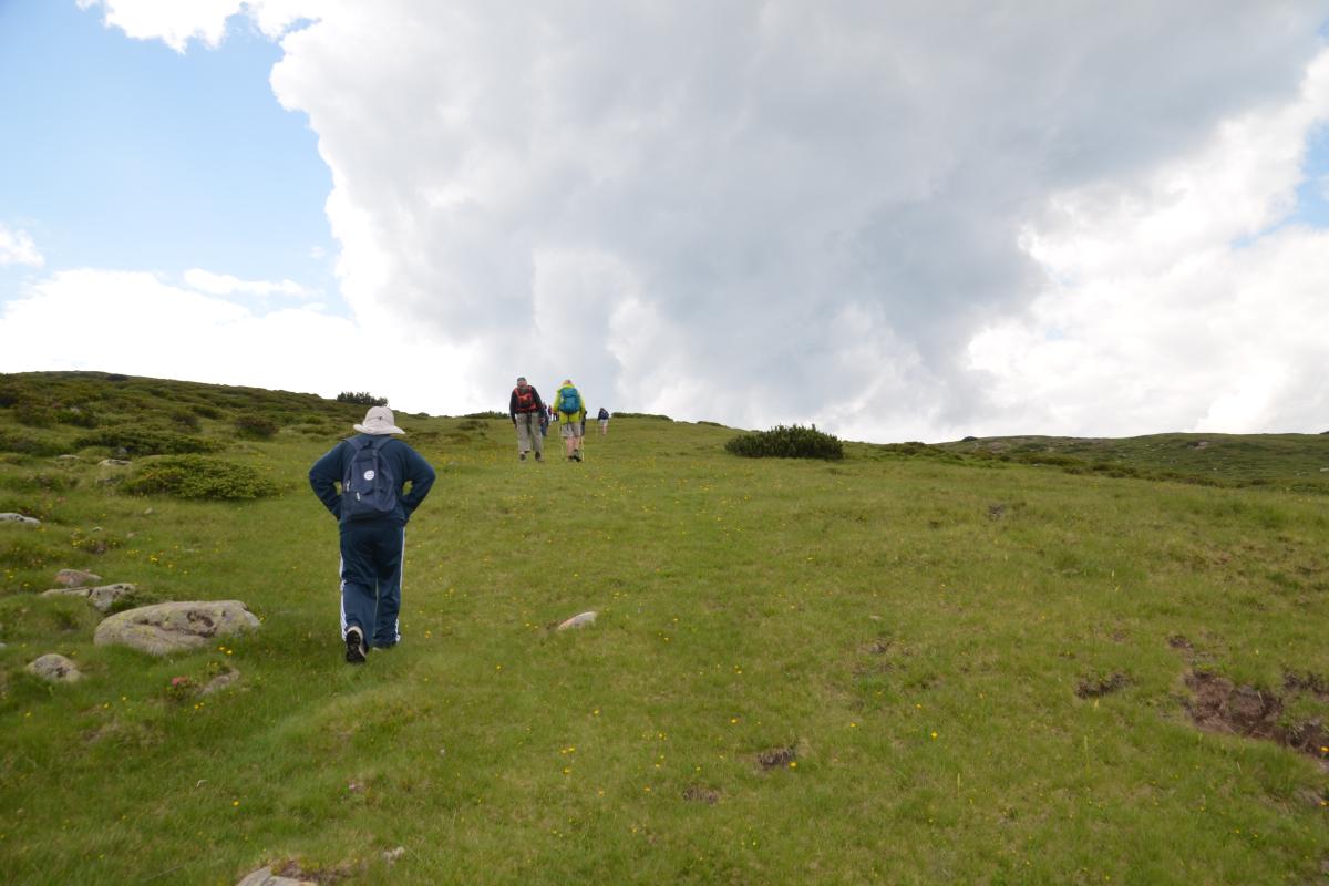 Latschenoelbrennerei und Platzer Alm 09.07.2019